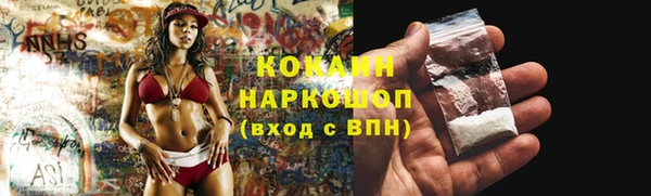 индика Новодвинск