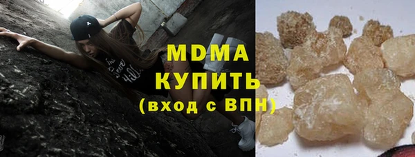 индика Новодвинск