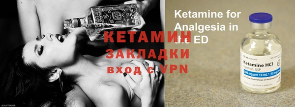 индика Новодвинск