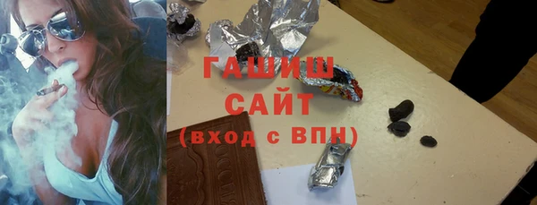 индика Новодвинск