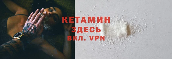 индика Новодвинск
