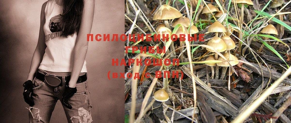 винт Нея