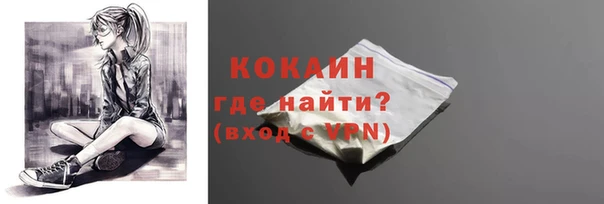 индика Новодвинск