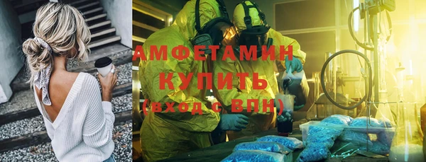 индика Новодвинск