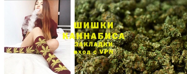 индика Новодвинск