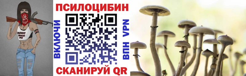 Псилоцибиновые грибы мухоморы  купить наркоту  Асбест 